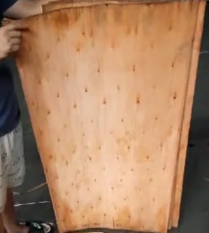 Eucalyptus Core Veneer 4
